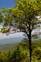 Skyline Drive, Shenandoah National Park