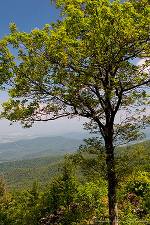 Skyline Drive, Shenandoah National Park