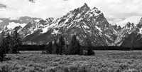 Grand Tetons